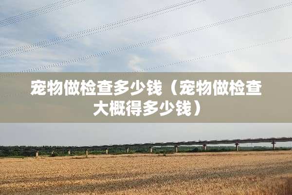 宠物做检查多少钱（宠物做检查大概得多少钱）
