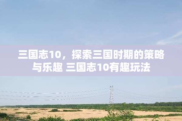 三国志10，探索三国时期的策略与乐趣 三国志10有趣玩法