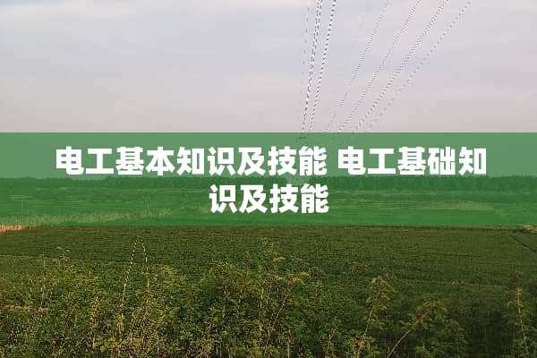 电工基本知识及技能 电工基础知识及技能