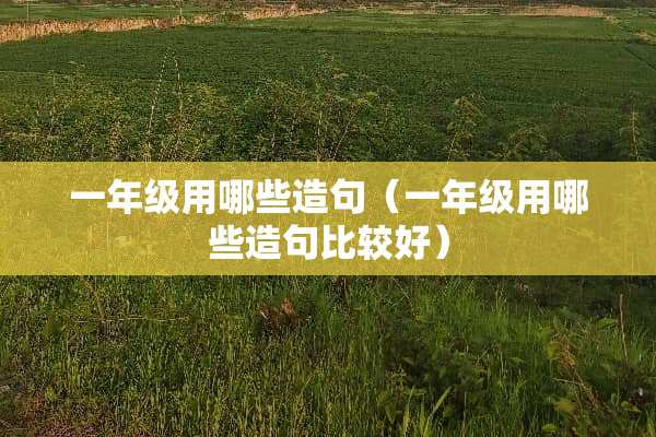 一年级用哪些造句（一年级用哪些造句比较好）