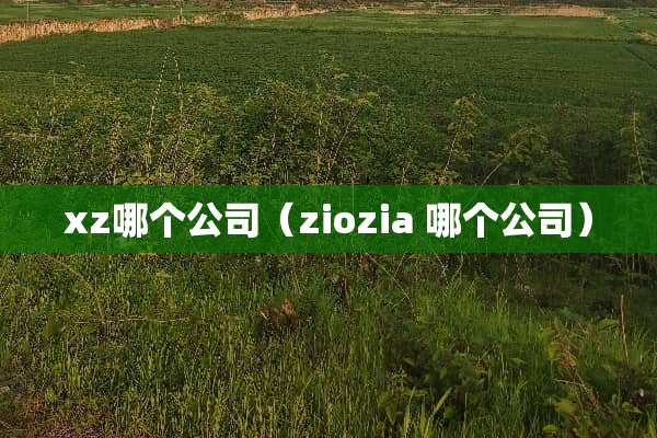 xz哪个公司（ziozia 哪个公司）