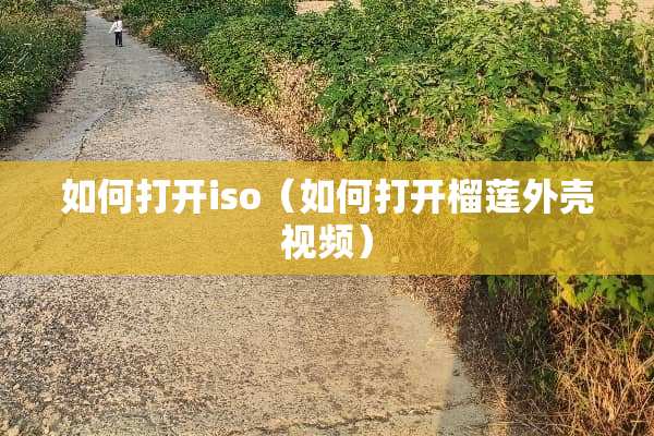 如何打开iso（如何打开榴莲外壳视频）