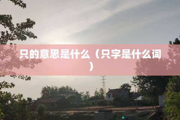 只的意思是什么(只字是什么词) 只的意思是什么(只字是什么词)
