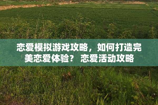 恋爱模拟游戏攻略，如何打造完美恋爱体验？ 恋爱活动攻略