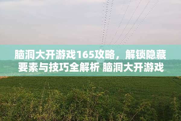 脑洞大开游戏165攻略，解锁隐藏要素与技巧全解析 脑洞大开游戏165攻略