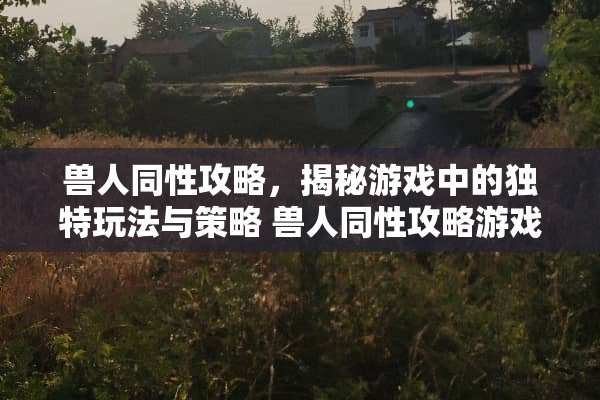 兽人同性攻略，揭秘游戏中的独特玩法与策略 兽人同性攻略游戏