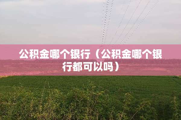 公积金哪个银行(公积金哪个银行都可以吗) 公积金哪个银行(公积金哪个银行都可以吗)