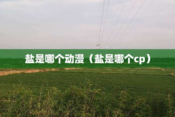 盐是哪个动漫（盐是哪个cp）