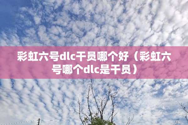 彩虹六号dlc干员哪个好(彩虹六号哪个dlc是干员)