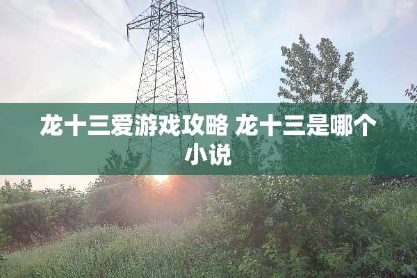 龙十三爱游戏攻略 龙十三是哪个小说
