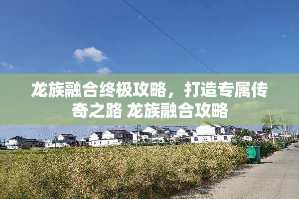 龙族融合终极攻略，打造专属传奇之路 龙族融合攻略