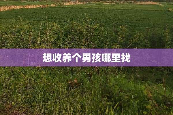 想收养个男孩***