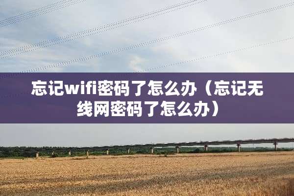 忘记wifi密码了怎么办（忘记无线网密码了怎么办）