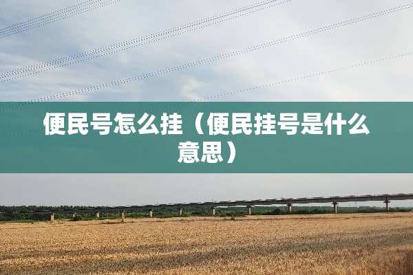 便民号怎么挂(便民挂号是什么意思) 便民号怎么挂(便民挂号是什么意思)