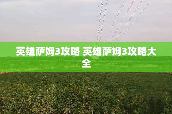 英雄萨姆3攻略 英雄萨姆3攻略大全