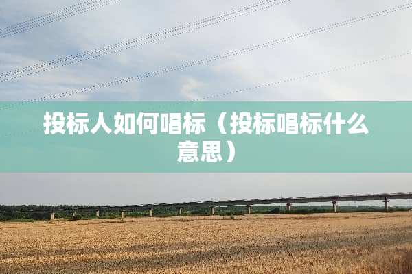 投标人如何唱标（投标唱标什么意思）