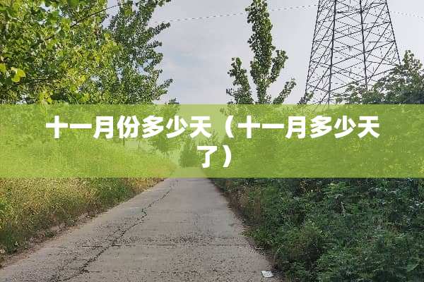 十一月份多少天（十一月多少天了）