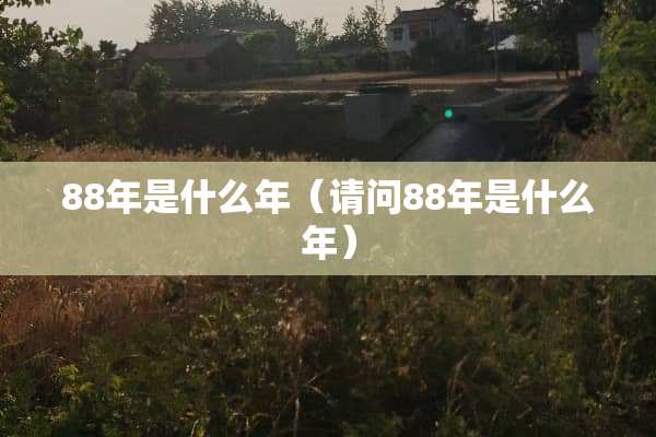 88年是什么年（请问88年是什么年）