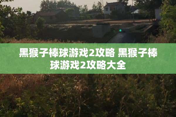 黑猴子棒球游戏2攻略 黑猴子棒球游戏2攻略大全