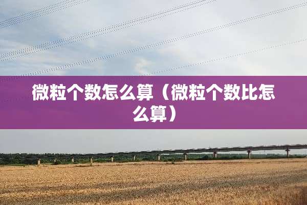 微粒个数怎么算（微粒个数比怎么算）