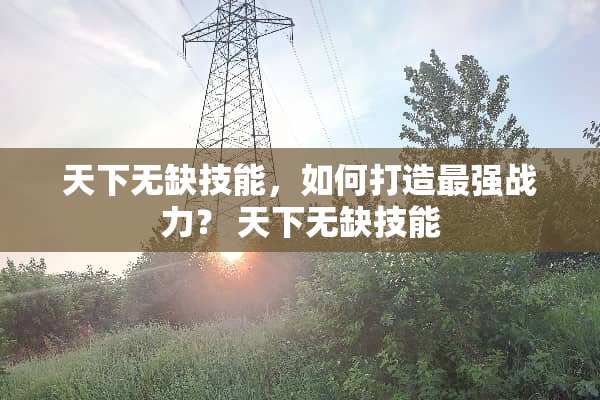 天下无缺技能，如何打造最强战力？ 天下无缺技能