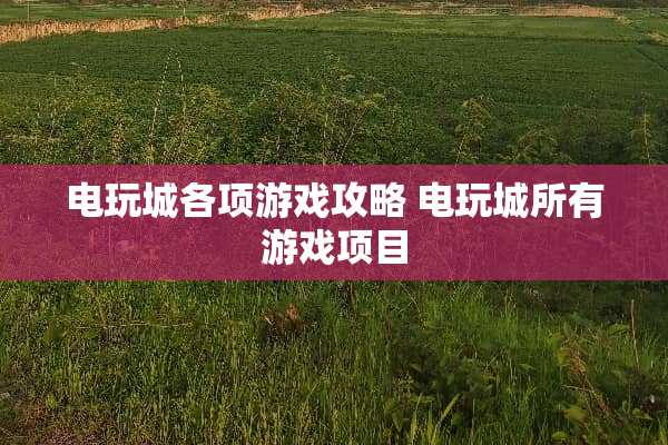 电玩城各项游戏攻略 电玩城所有游戏项目