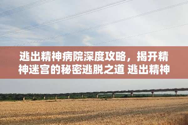 逃出精神病院深度攻略，揭开精神迷宫的秘密逃脱之道 逃出精神病院攻略