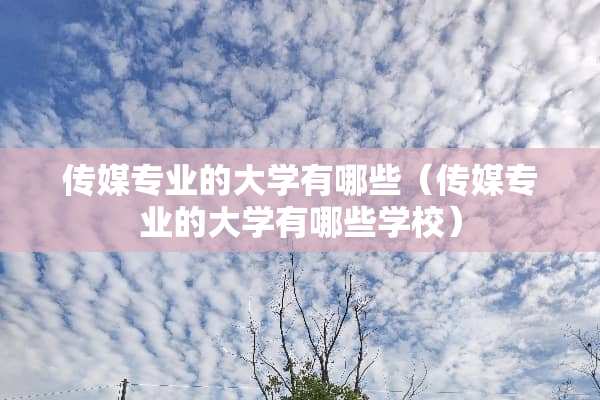 传媒专业的大学有哪些（传媒专业的大学有哪些学校）
