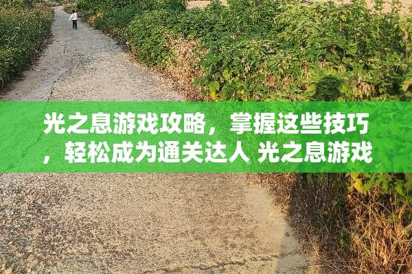 光之息游戏攻略，掌握这些技巧，轻松成为通关达人 光之息游戏攻略