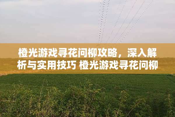 橙光游戏寻花问柳攻略，深入解析与实用技巧 橙光游戏寻花问柳攻略