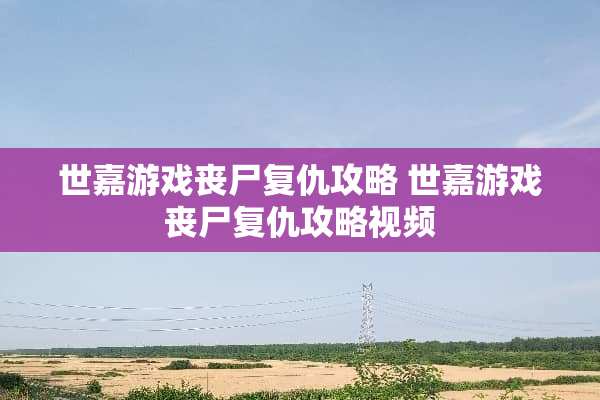 世嘉游戏丧尸复仇攻略 世嘉游戏丧尸复仇攻略视频