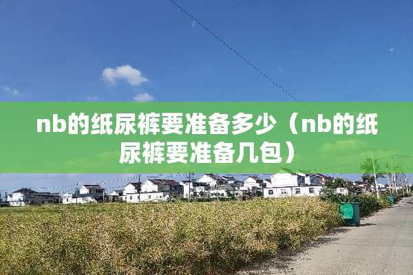 nb的纸尿裤要准备多少（nb的纸尿裤要准备几包）