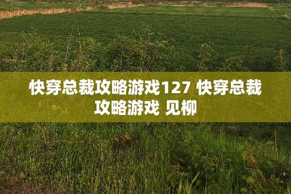 快穿总裁攻略游戏127 快穿总裁攻略游戏 见柳