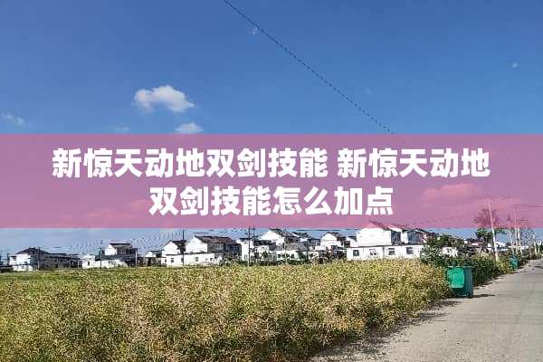 新惊天动地双剑技能 新惊天动地双剑技能怎么加点
