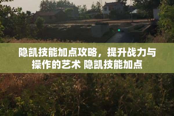 隐凯技能加点攻略,提升战力与操作的艺术 隐凯技能加点 隐凯技能加点攻略,提升战力与操作的艺术 隐凯技能加点
