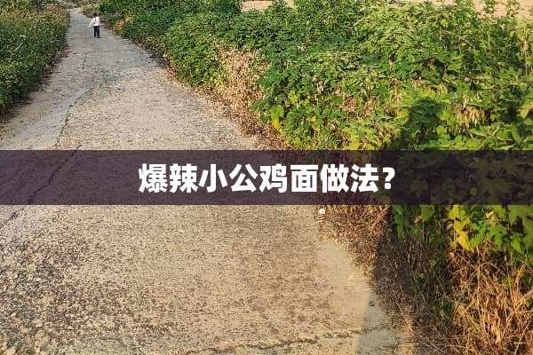 爆辣小公鸡面做法？