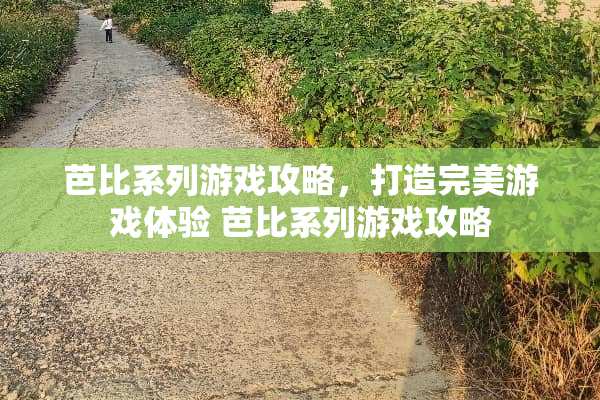 芭比系列游戏攻略，打造完美游戏体验 芭比系列游戏攻略