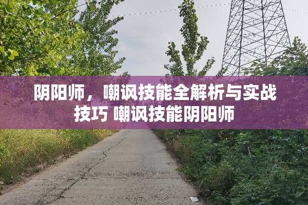 *阳师，嘲讽技能全解析与实战技巧 嘲讽技能*阳师