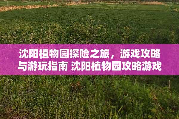 沈阳植物园探险之旅,游戏攻略与游玩指南 沈阳植物园攻略游戏