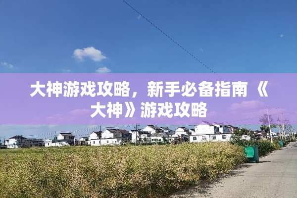大神游戏攻略，新手必备指南 《大神》游戏攻略
