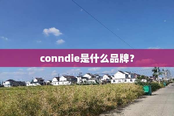 conndie是什么品牌？