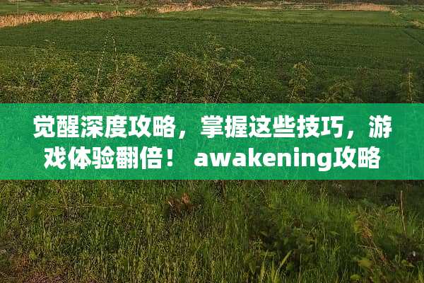 觉醒深度攻略，掌握这些技巧，游戏体验翻倍！ awakening攻略