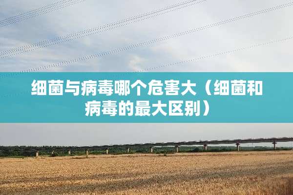 细菌与**哪个危害大（细菌和**的最大区别）