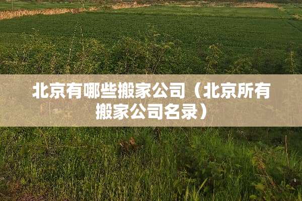 北京有哪些搬家公司（北京所有搬家公司名录）