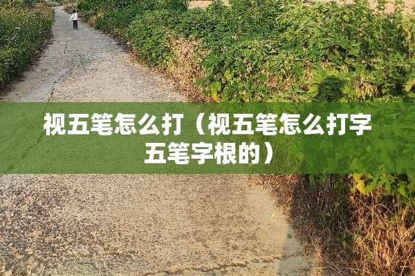 视五笔怎么打（视五笔怎么打字五笔字根的）