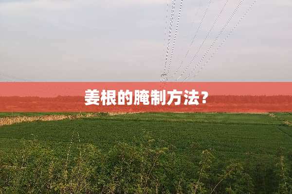 姜根的腌制方法？