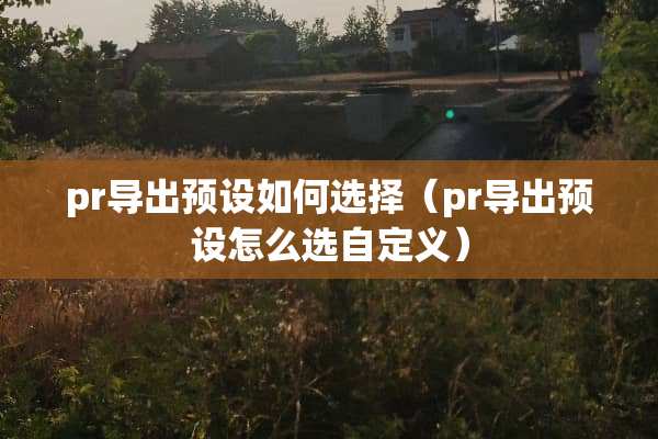 pr导出预设如何选择(pr导出预设怎么选自定义)