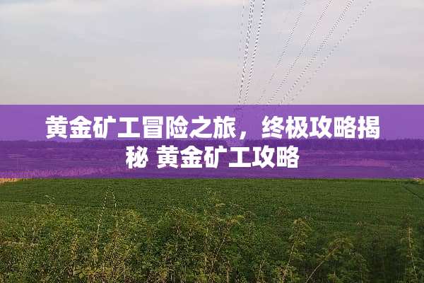 黄金矿工冒险之旅，终极攻略揭秘 黄金矿工攻略