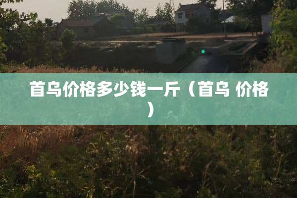 首乌价格多少钱一斤（首乌 价格）
