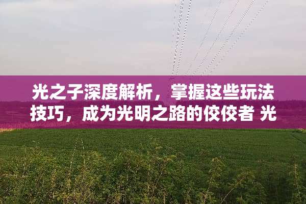 光之子深度解析，掌握这些玩法技巧，成为光明之路的佼佼者 光之子的玩法